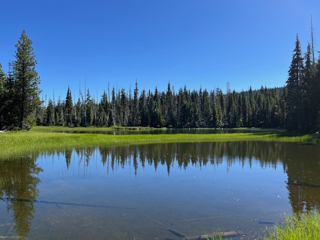 Maxwell Butte